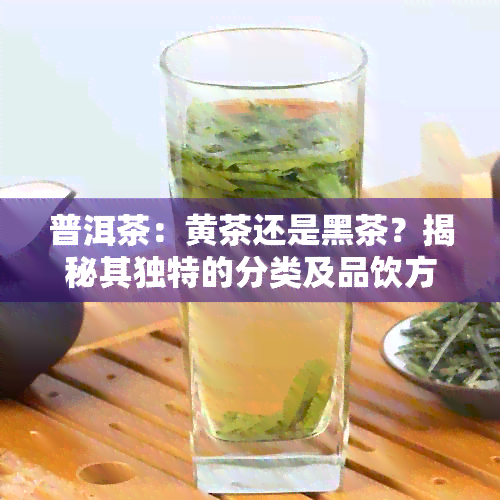 普洱茶：黄茶还是黑茶？揭秘其独特的分类及品饮方法