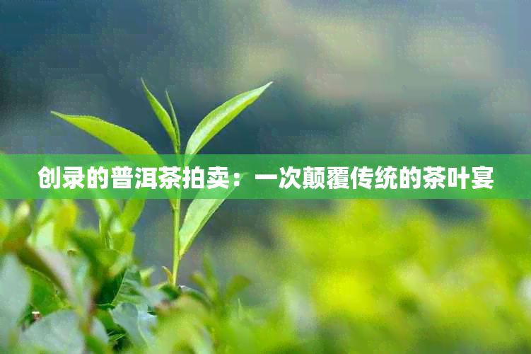 创录的普洱茶拍卖：一次颠覆传统的茶叶宴