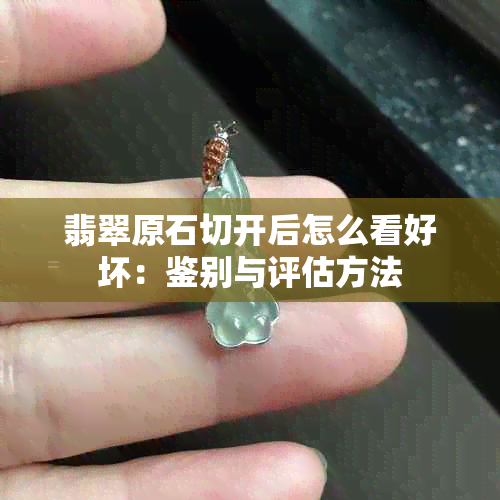 翡翠原石切开后怎么看好坏：鉴别与评估方法