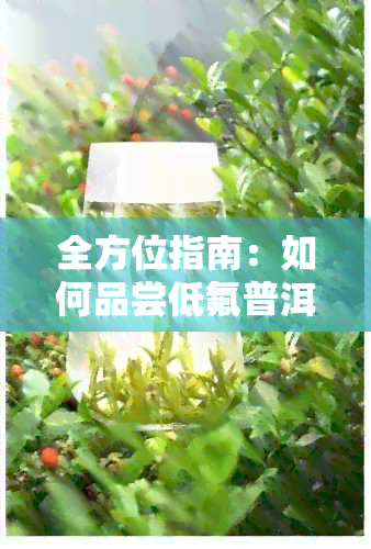 全方位指南：如何品尝低氟普洱茶，掌握正确饮用方法与口感体验