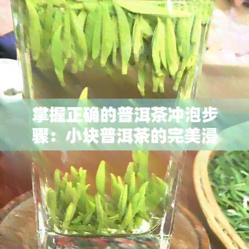 掌握正确的普洱茶冲泡步骤：小块普洱茶的完美浸泡方法