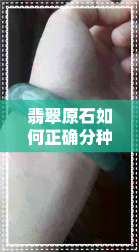 翡翠原石如何正确分种水