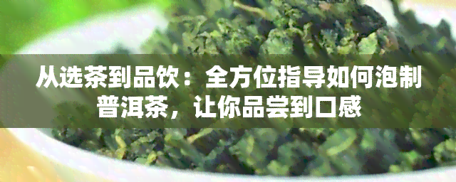 从选茶到品饮：全方位指导如何泡制普洱茶，让你品尝到口感