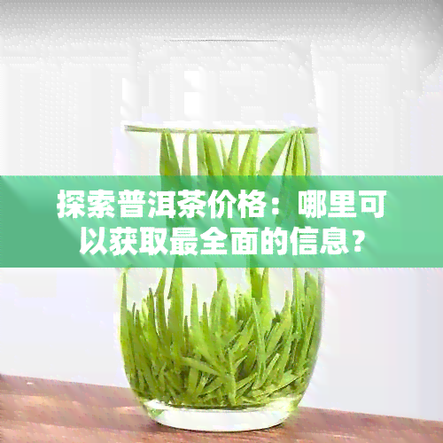 探索普洱茶价格：哪里可以获取最全面的信息？