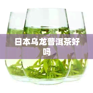 乌龙普洱茶好吗