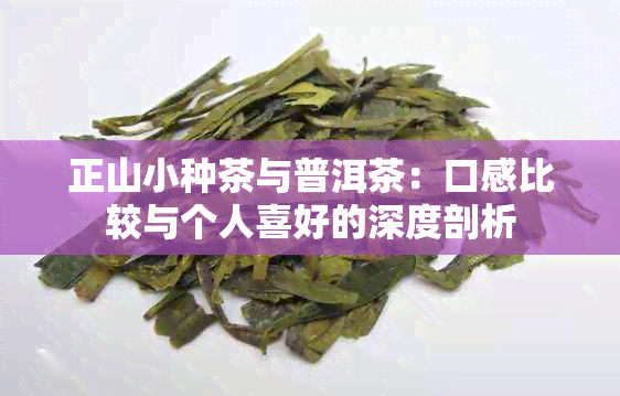 正山小种茶与普洱茶：口感比较与个人喜好的深度剖析