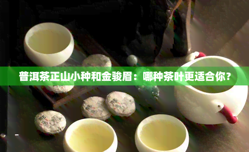 普洱茶正山小种和金骏眉：哪种茶叶更适合你？