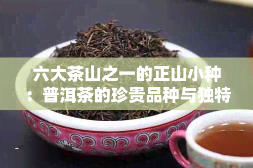 六大茶山之一的正山小种：普洱茶的珍贵品种与独特风味