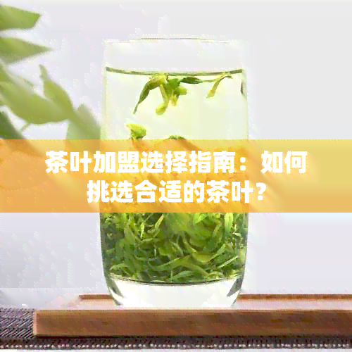 茶叶加盟选择指南：如何挑选合适的茶叶？