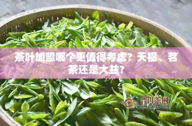 茶叶加盟哪个更值得考虑？天福、茗茶还是大益？