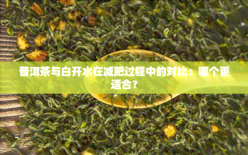 普洱茶与白开水在减肥过程中的对比：哪个更适合？