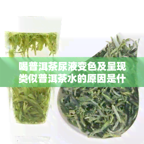 喝普洱茶尿液变色及呈现类似普洱茶水的原因是什么？