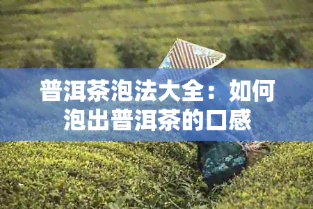 普洱茶泡法大全：如何泡出普洱茶的口感