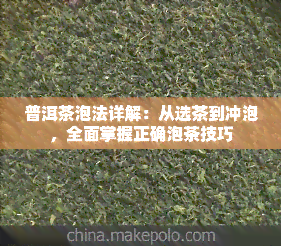 普洱茶泡法详解：从选茶到冲泡，全面掌握正确泡茶技巧