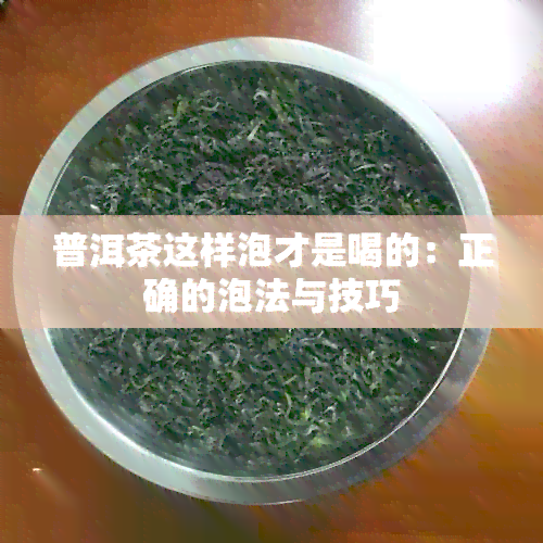 普洱茶这样泡才是喝的：正确的泡法与技巧