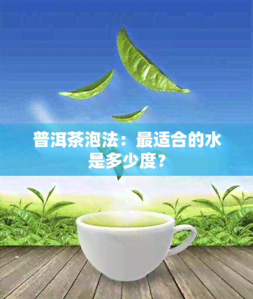 普洱茶泡法：最适合的水是多少度？