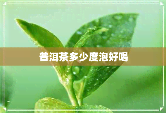 普洱茶多少度泡好喝