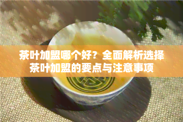 茶叶加盟哪个好？全面解析选择茶叶加盟的要点与注意事项