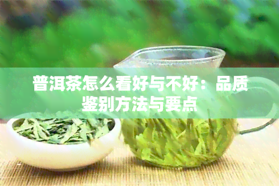 普洱茶怎么看好与不好：品质鉴别方法与要点