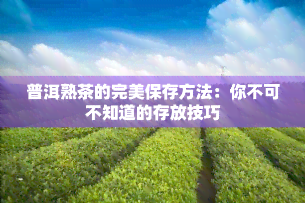 普洱熟茶的完美保存方法：你不可不知道的存放技巧