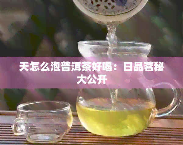 天怎么泡普洱茶好喝：日品茗秘大公开