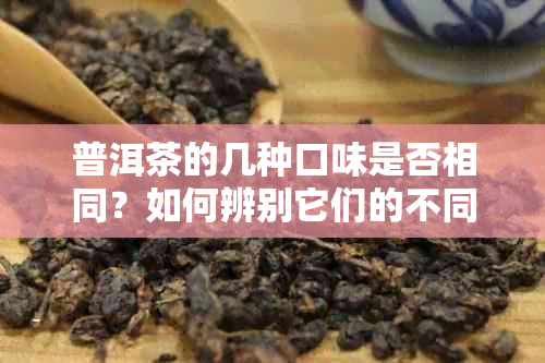 普洱茶的几种口味是否相同？如何辨别它们的不同之处？