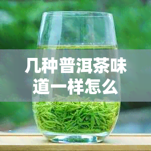 几种普洱茶味道一样怎么回事？普洱茶味道不一样。