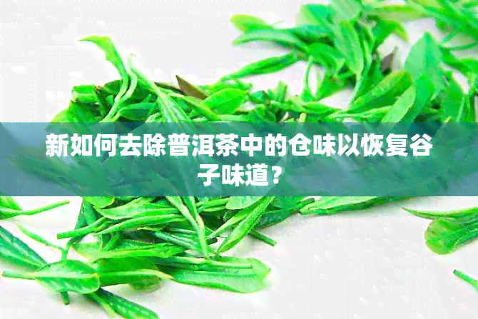 新如何去除普洱茶中的仓味以恢复谷子味道？