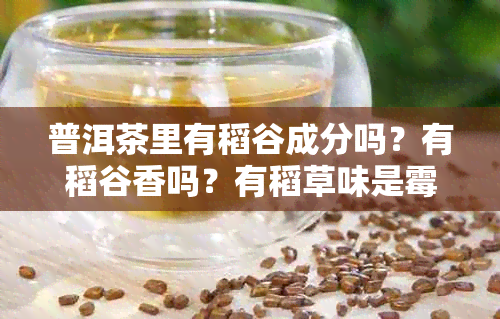 普洱茶里有稻谷成分吗？有稻谷香吗？有稻草味是霉味吗？