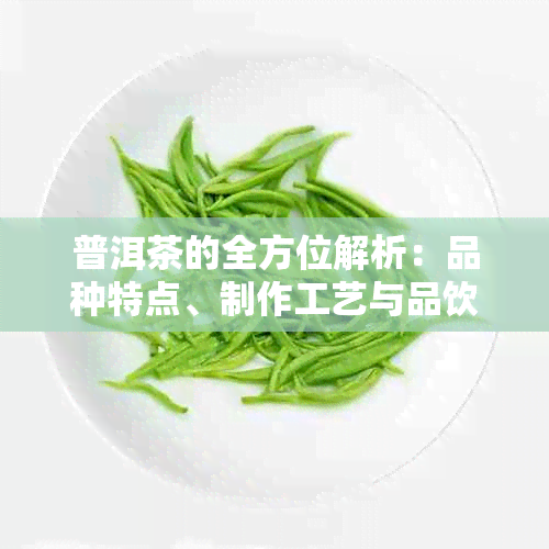 普洱茶的全方位解析：品种特点、制作工艺与品饮技巧