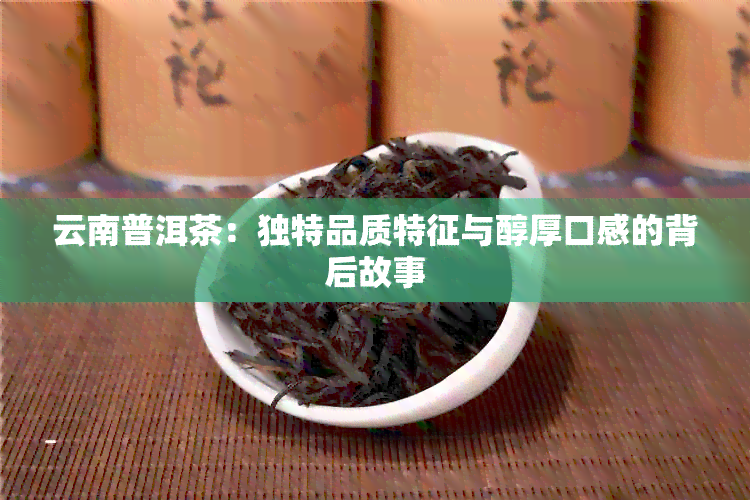 云南普洱茶：独特品质特征与醇厚口感的背后故事