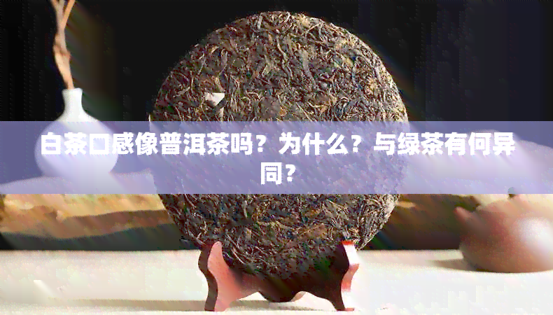 白茶口感像普洱茶吗？为什么？与绿茶有何异同？