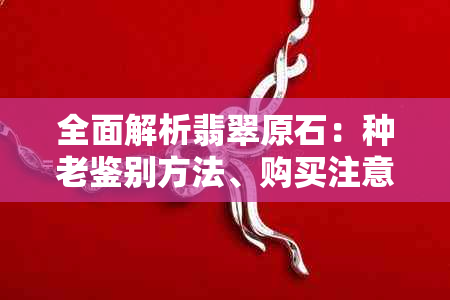 全面解析翡翠原石：种老鉴别方法、购买注意事项与市场趋势