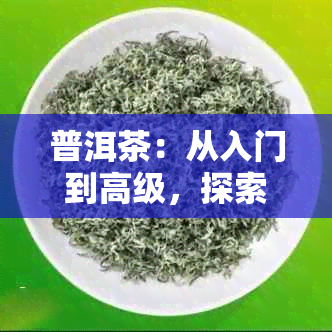 普洱茶：从入门到高级，探索各种类型和品质的真相