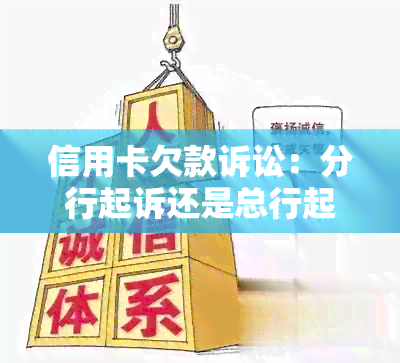 信用卡欠款诉讼：分行起诉还是总行起诉？应对策略及解决方法详解