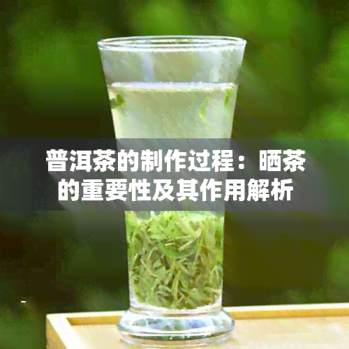 普洱茶的制作过程：晒茶的重要性及其作用解析