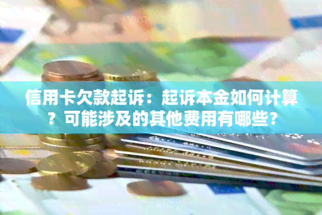 信用卡欠款起诉：起诉本金如何计算？可能涉及的其他费用有哪些？