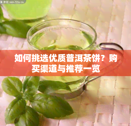 如何挑选优质普洱茶饼？购买渠道与推荐一览