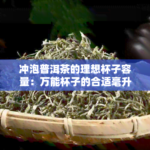 冲泡普洱茶的理想杯子容量：万能杯子的合适毫升数是多少？