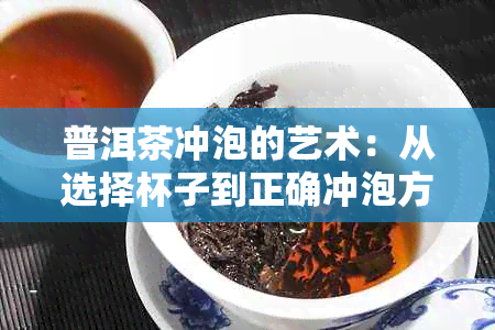 普洱茶冲泡的艺术：从选择杯子到正确冲泡方法的全面指南