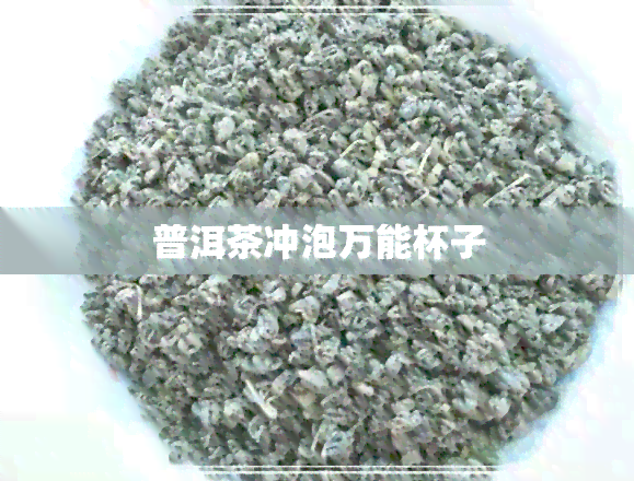 普洱茶冲泡万能杯子