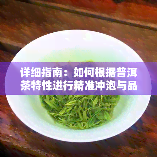 详细指南：如何根据普洱茶特性进行精准冲泡与品鉴