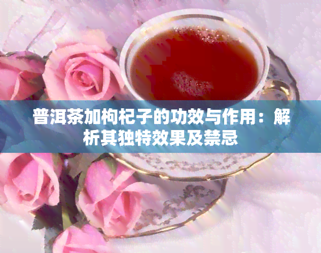 普洱茶加枸杞子的功效与作用：解析其独特效果及禁忌