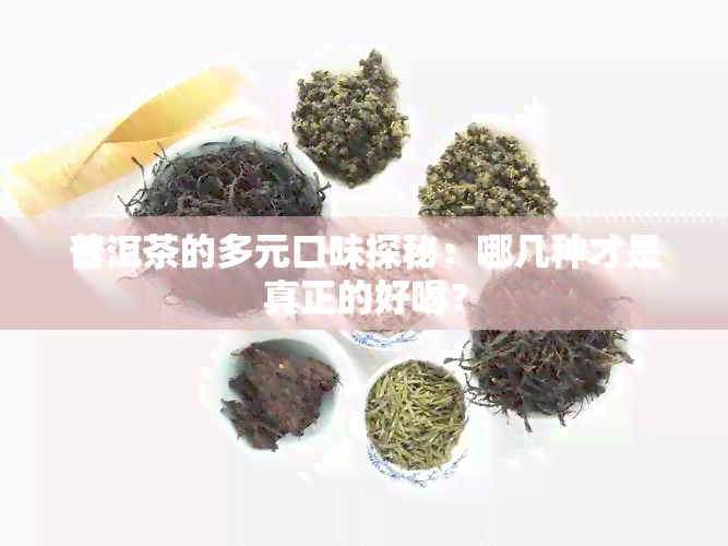 普洱茶的多元口味探秘：哪几种才是真正的好喝？