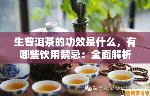 生普洱茶的功效是什么，有哪些饮用禁忌：全面解析普洱茶的益处与禁忌