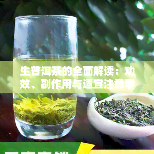 生普洱茶的全面解读：功效、副作用与适宜注意事项