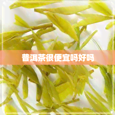 普洱茶很便宜吗好吗