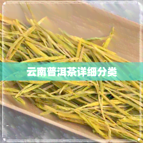 云南普洱茶详细分类