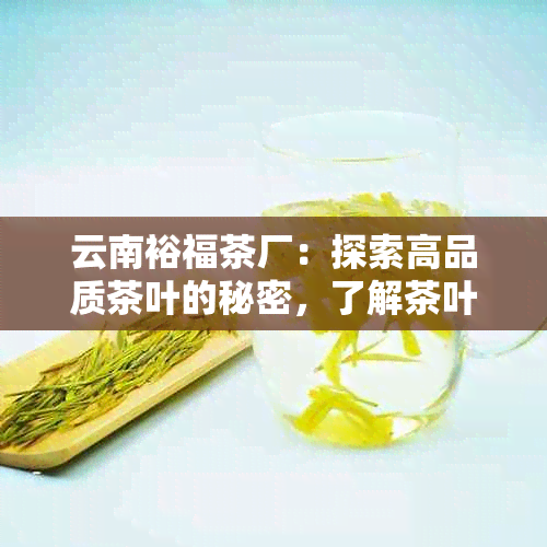 云南裕福茶厂：探索高品质茶叶的秘密，了解茶叶制作工艺和品种多样性