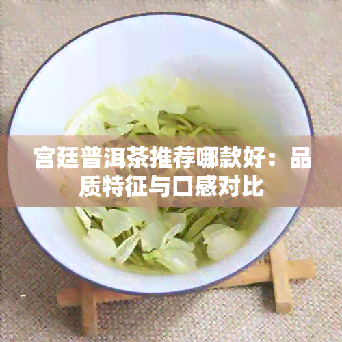 宫廷普洱茶推荐哪款好：品质特征与口感对比